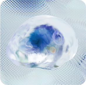 Whoopix automated optimization workflows